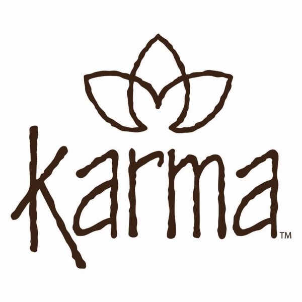 Karma Sugar Skull Headband for Women - Wide - Fabric Headband and Stretchy Hair Scarf - Black, 1 Count (Pack of 1) - Image 7