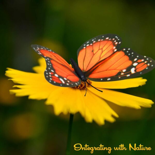 AQUEENLY Monarch Butterfly Decorations, 4.72'' Orange Premium Artificial Monarch Butterfly to Decorate for Craft, Home, Wall, Wedding, Party (12 Pcs) - Image 6