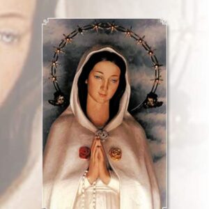 María Rosa Mística: Virgen Peregrina (Spanish Edition)
