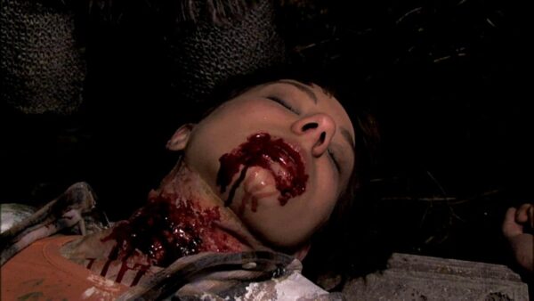 DAY OF THE DEAD/THE DAY THE DEAD WALKED - Image 7