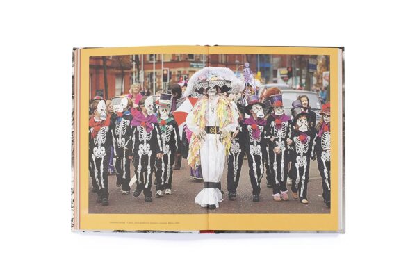 The Day of the Dead: A Visual Compendium - Image 8