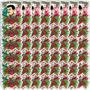 Stickers 48pcs Jesus Water Bottles Hat Malverde Hard Car for Kids Teens Adults Wall Decoration Motorcycle Bedroom Laptop Phone Case Bumper Bike Skateboard