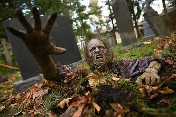 Day of the Dead: Season 1 Blu-Ray - Image 2