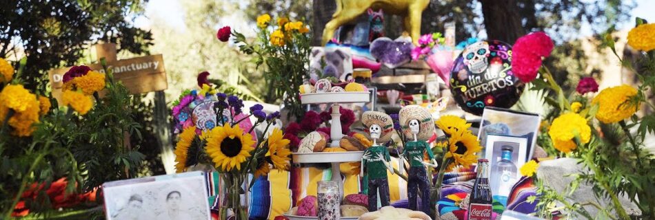 day of the dead