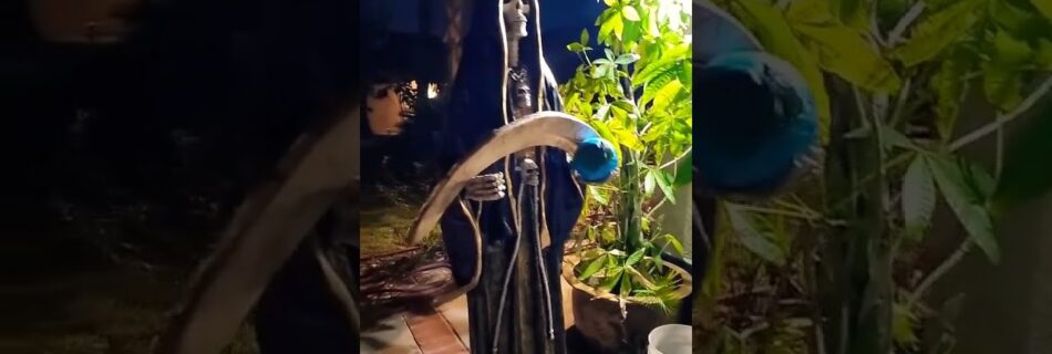 santa muerte