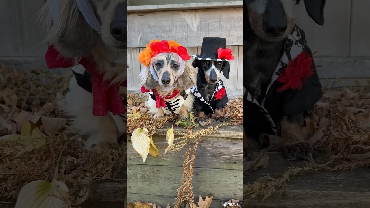 day of the dead
