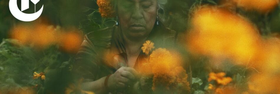 day of the dead